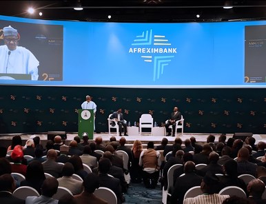 Afreximbank Annual General Meeting